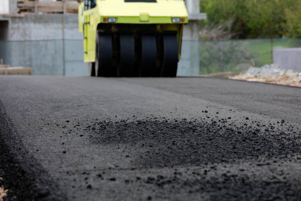 Best Custom Driveway Pavers  in Kingsport, TN