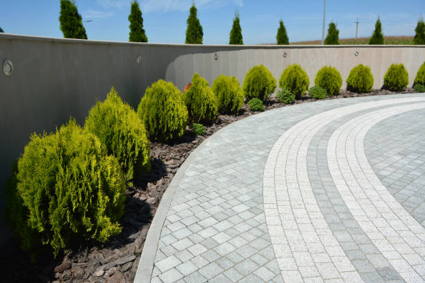 Reasons to Select Us for Your Driveway Paving Requirements in Kingsport, TN